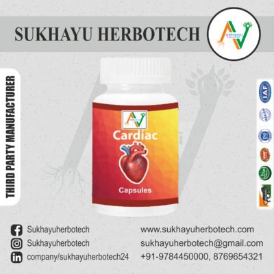 Cardiac Capsule